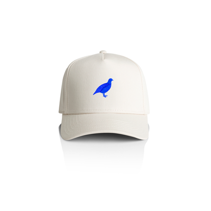 26 I Serein Casquette écru