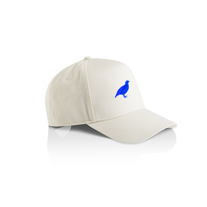 26 I Serein Casquette écru